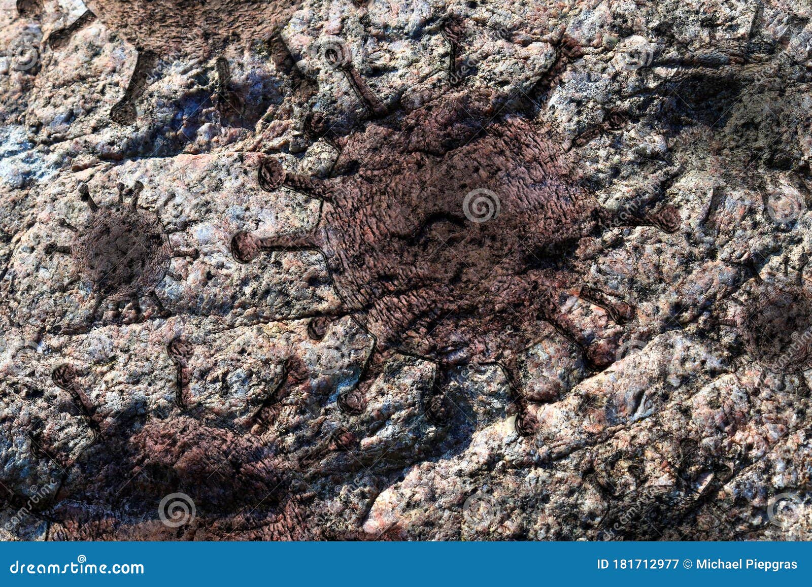 Close Up View on Granite and Rock Surfaces with Engraved Virus Fossils