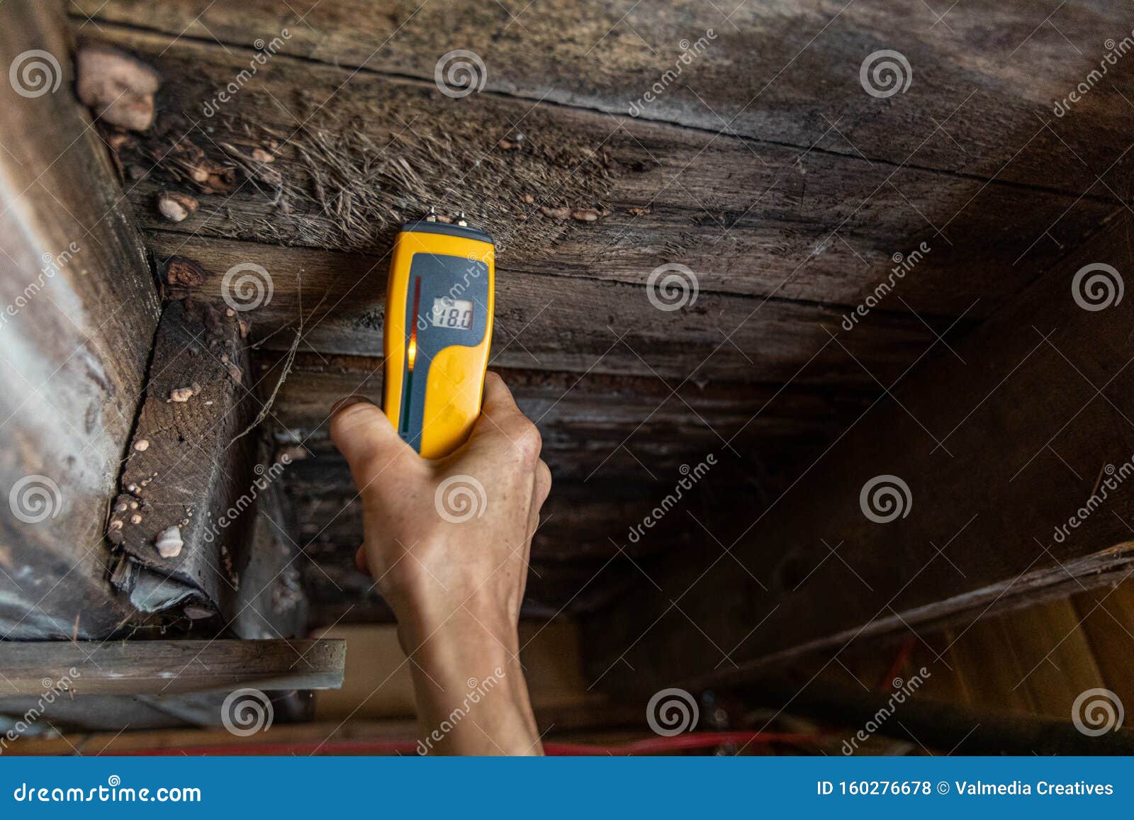 indoor damp & air quality iaq testing.