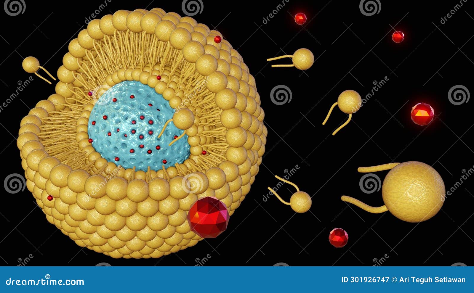 Mesoporous Silica Nanoparticle With DNA Helix Royalty-Free Stock Photo ...