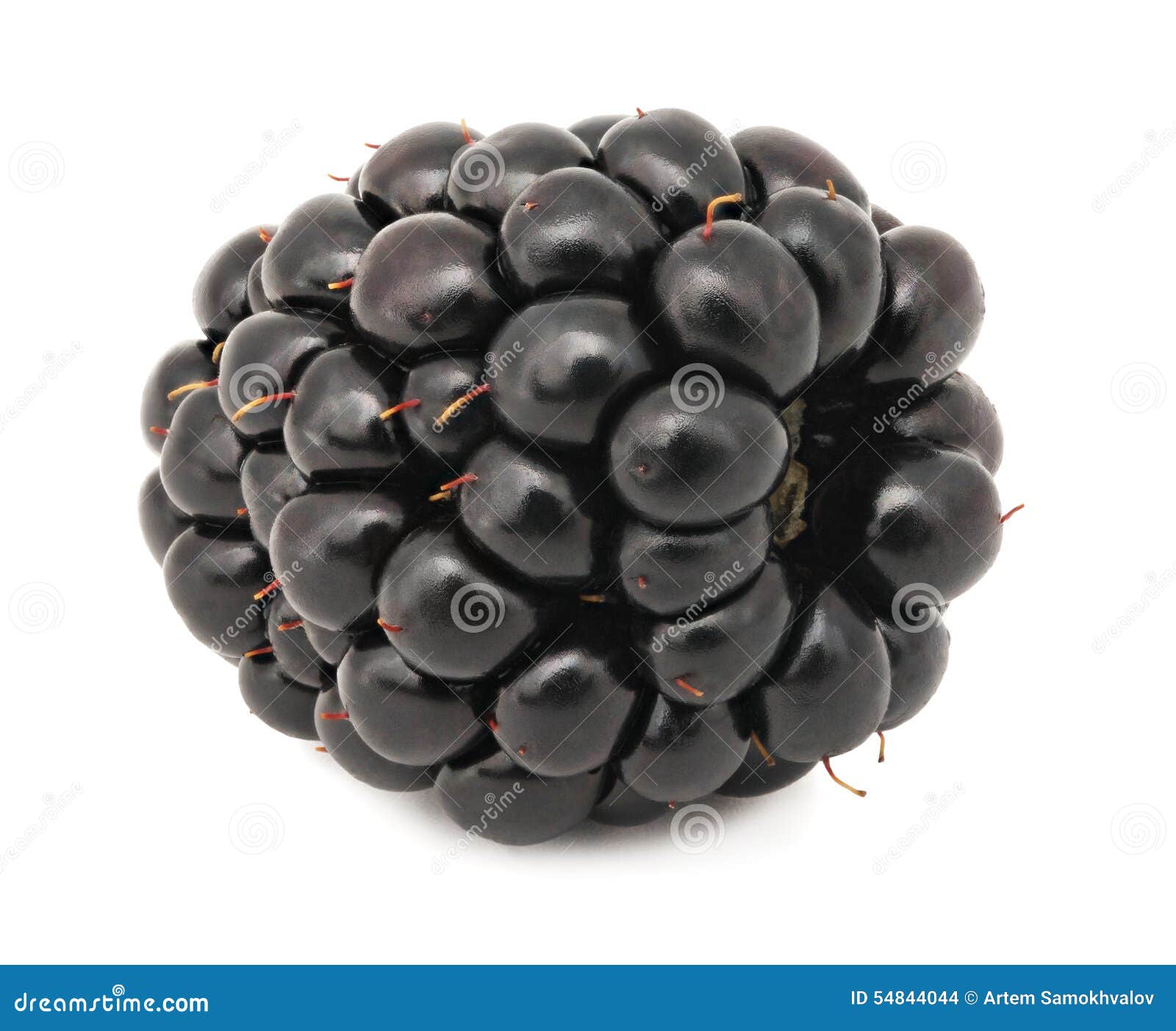 Close-up View of One Blackberry (isolated) Stock Photo - Image of diet ...