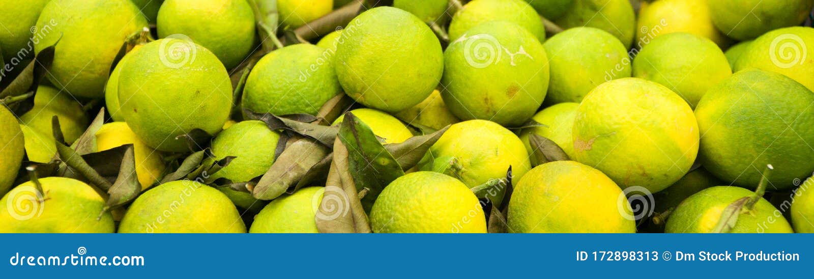 Closeup View of Organic Limes. Stock Image Image of limes, nutrition