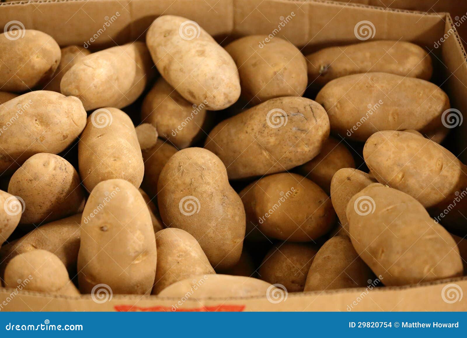 Pile of Potatoes stock photo. Image of potato, natural 29820754