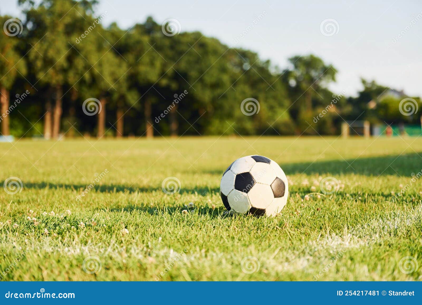 Close Up View of Soccer Ball that Lying Down on the Green Grass Stock