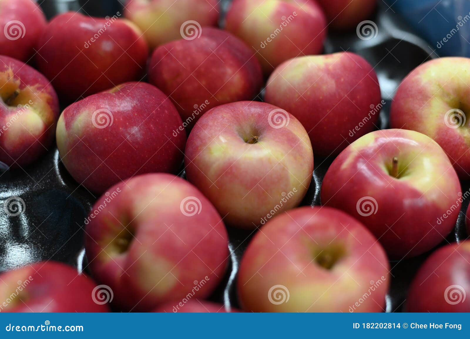 Download View Of Red Apples Placed On A Packing Tray Stock Photo - Image of angle, nature: 182202814