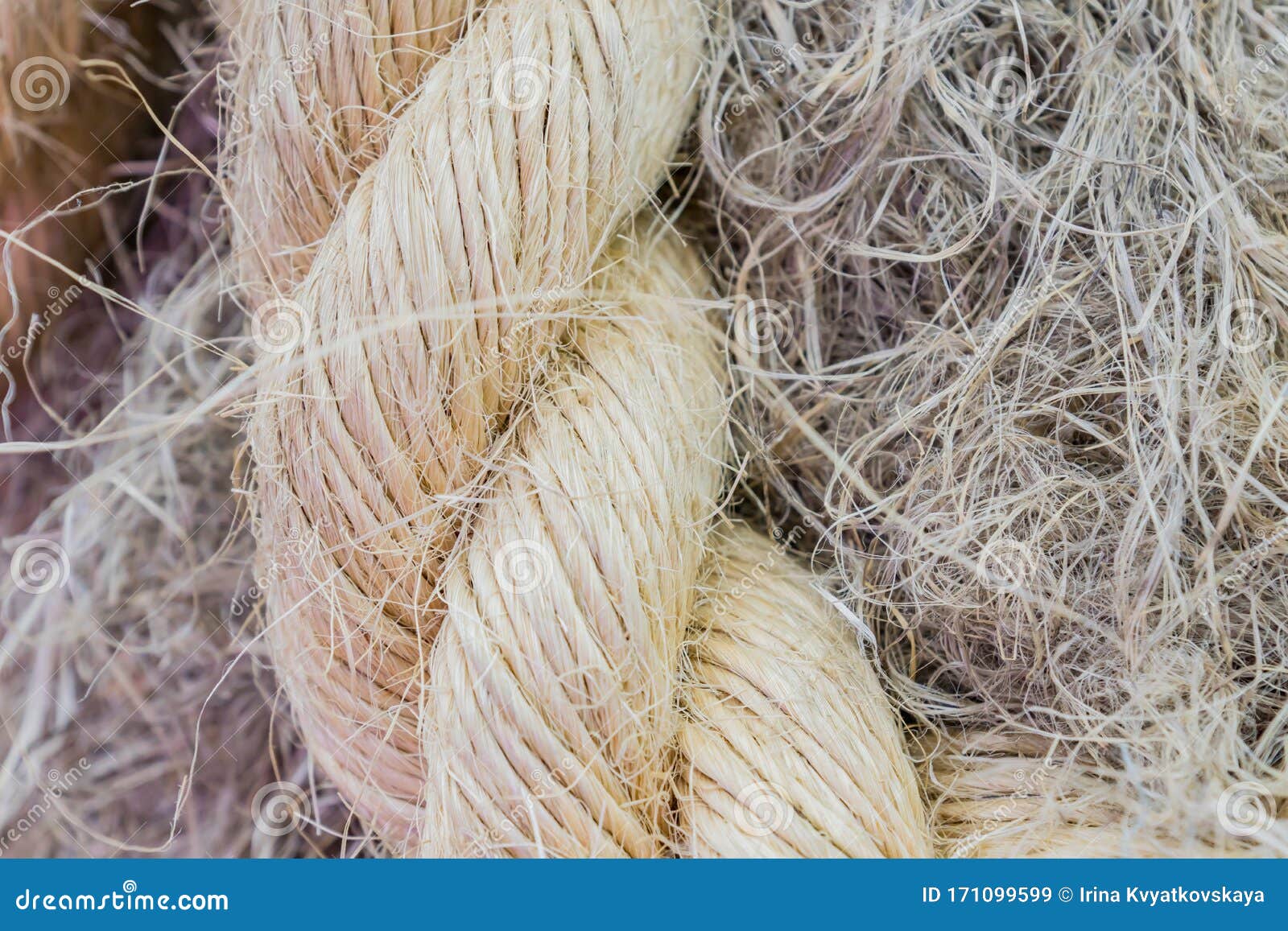 Download Close Up View Of Twisted Rope Made Of Sisal Stock Image Image Of Natural Fabric 171099599 Yellowimages Mockups