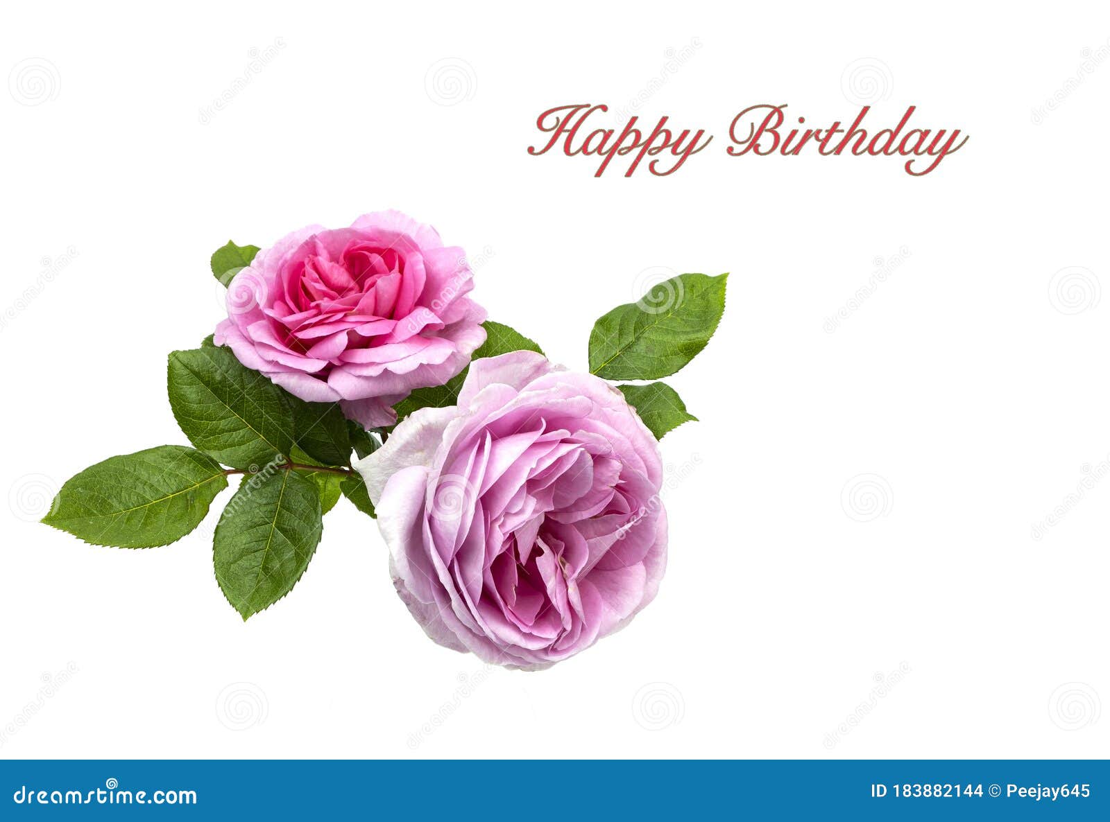 Happy Birthday Card With Pink Roses Bouquet Isolated On White