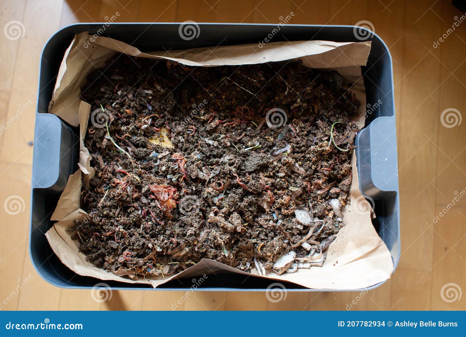 Worm Bedding Stock Photos - Free & Royalty-Free Stock Photos from