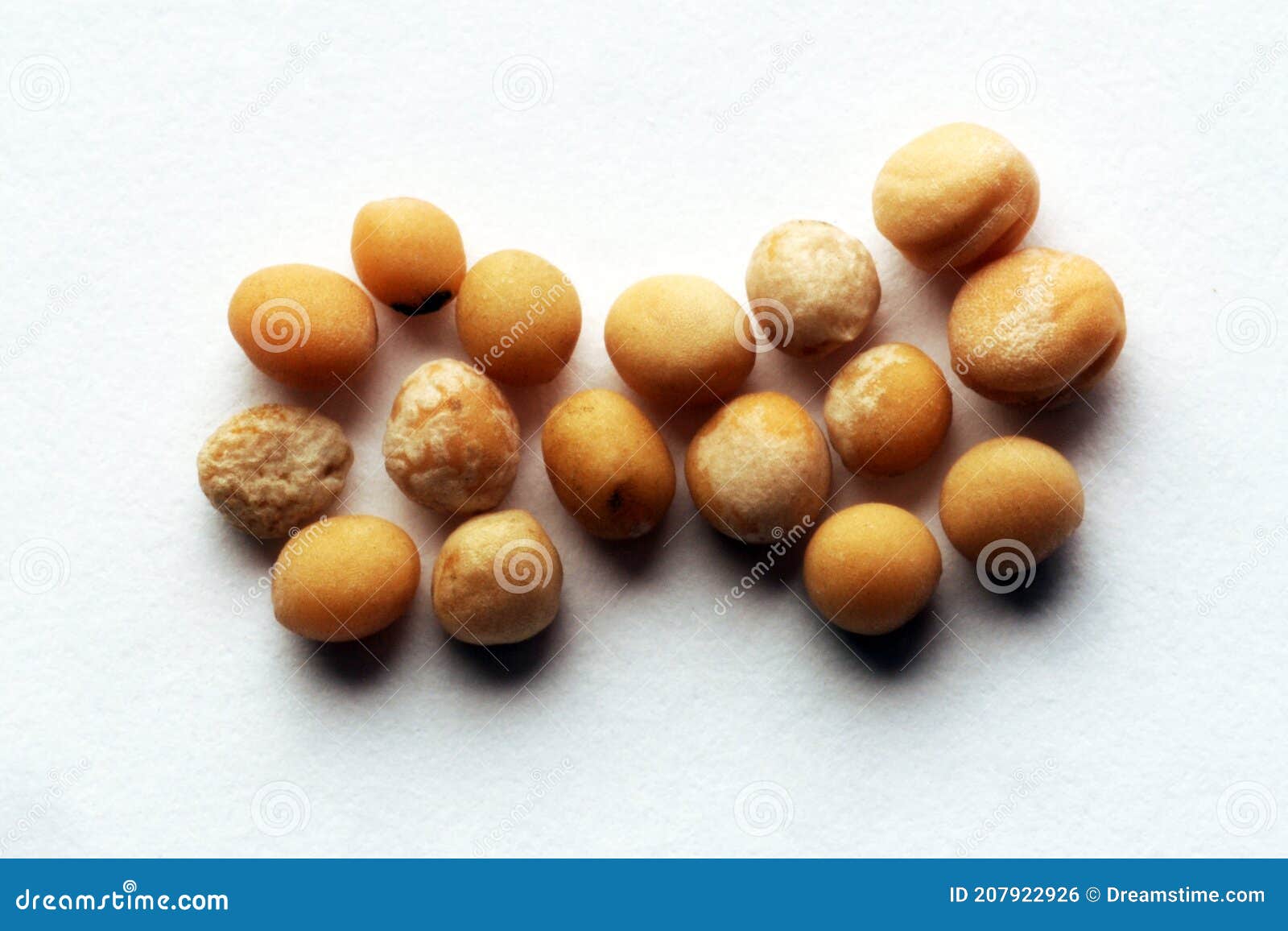 Closeup on wasabi seeds stock photo. Image of veggie 207922926