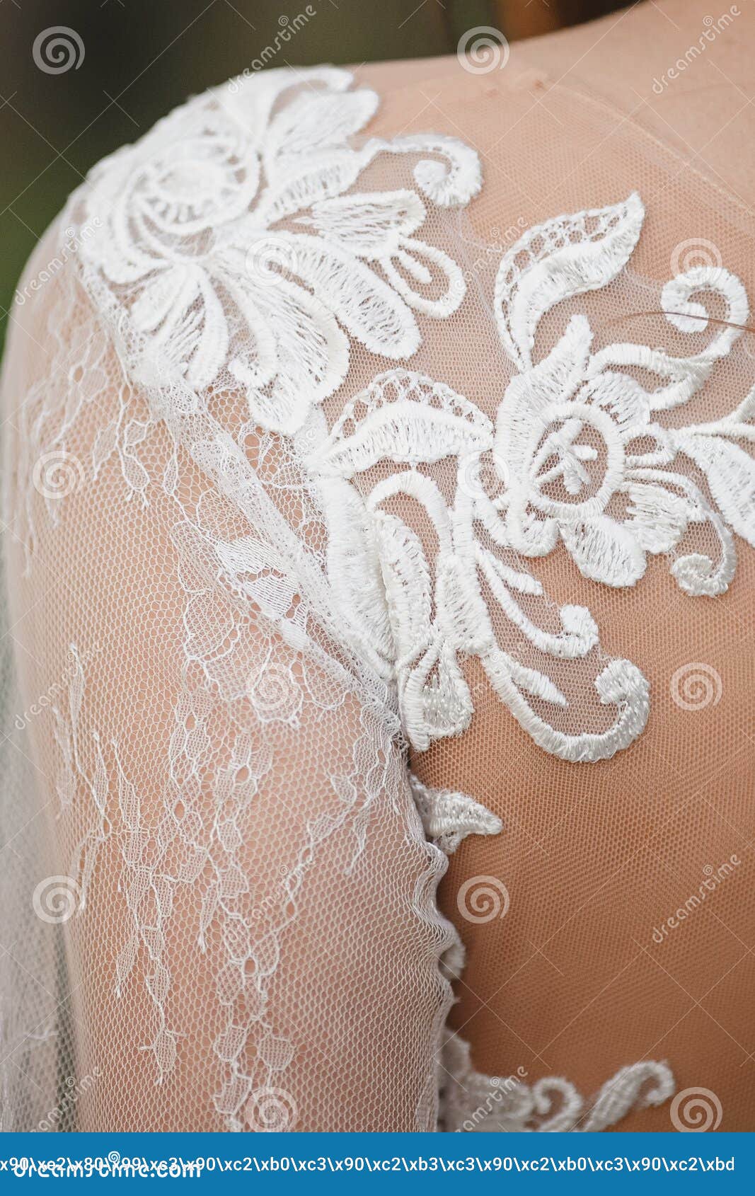 Close-up of a Wedding Dress and Pattern. Shoulder and Back, Rear View ...