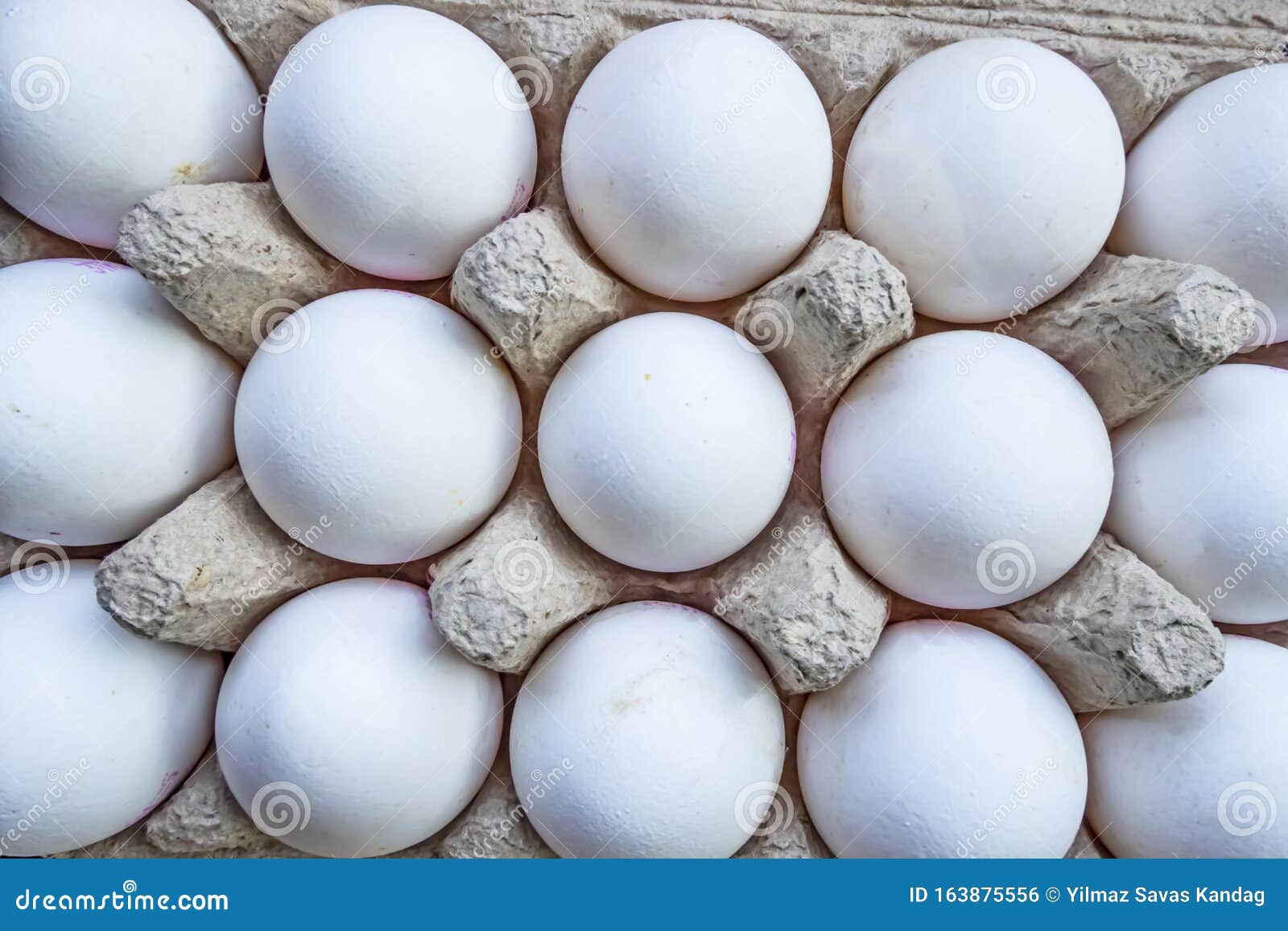 White Chicken Eggs in Egg Separator Stock Photo Image of brown