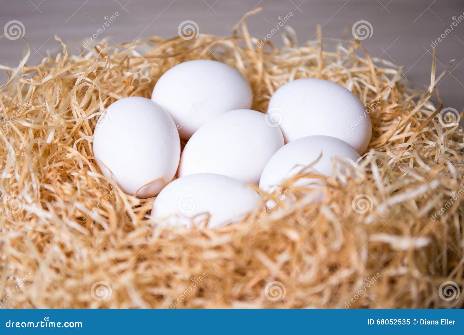 Close Up of White Eggs in Nest Stock Image Image of closeup