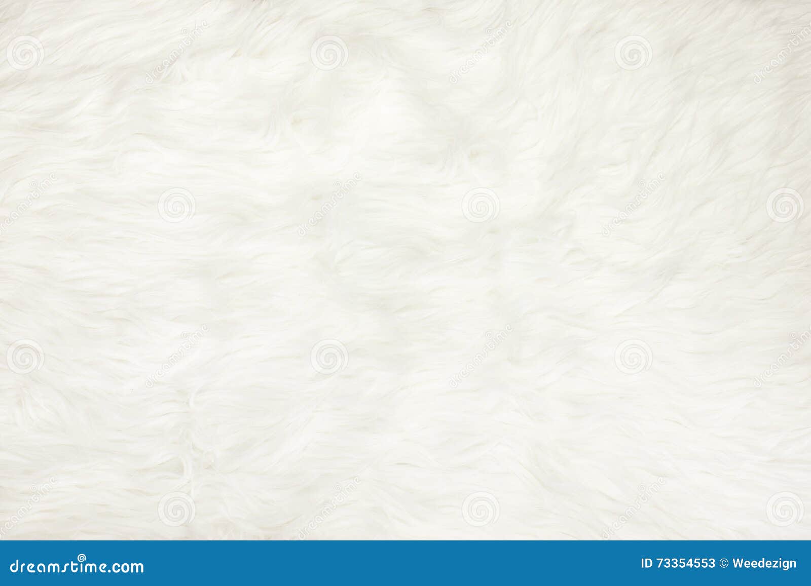 White Fur Background Stock Photo, Picture and Royalty Free Image. Image  83406200.