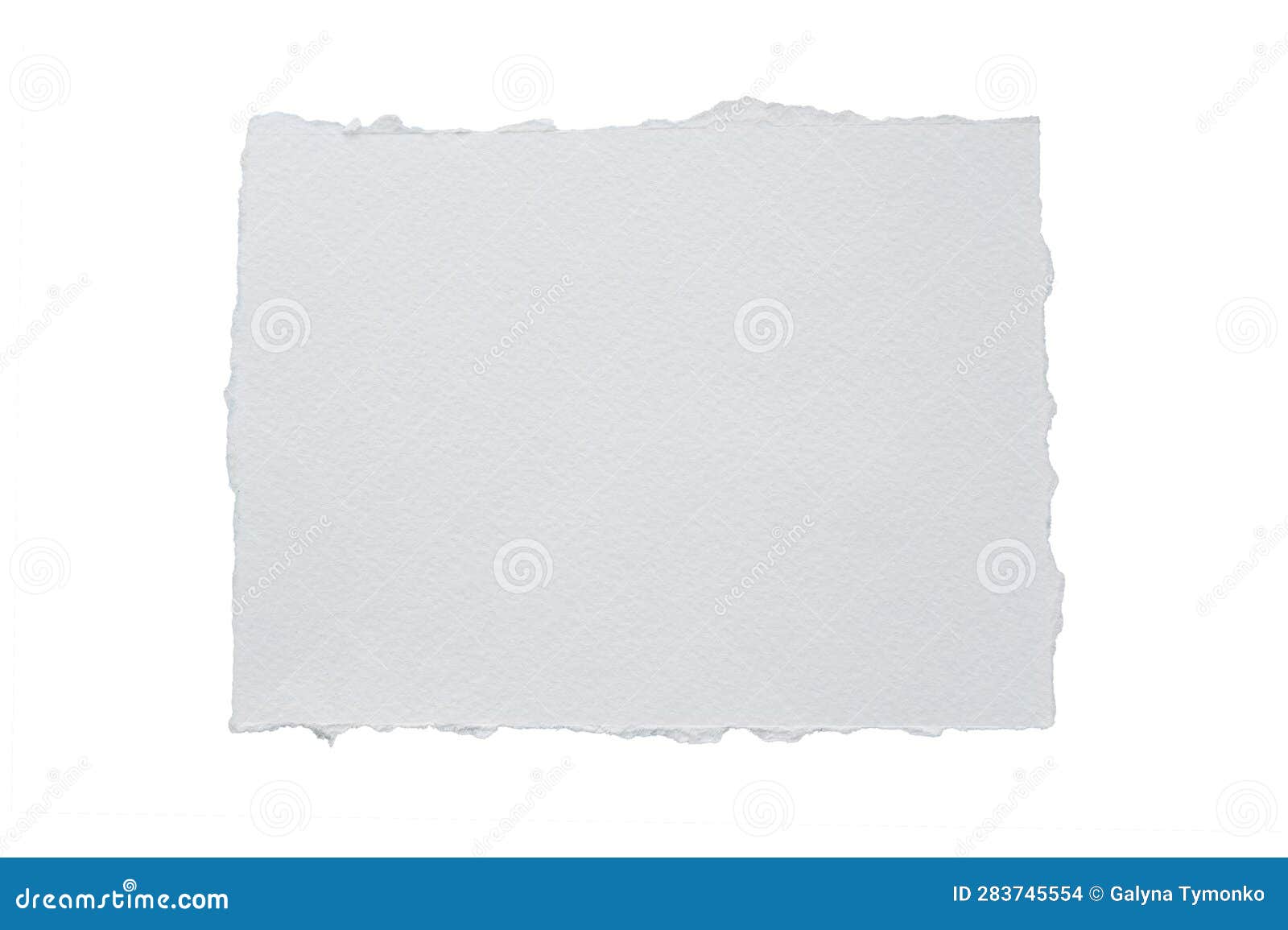 close up of a white ripped piece of paper with copyspace. torn paper  isolated transparent png 25921212 PNG