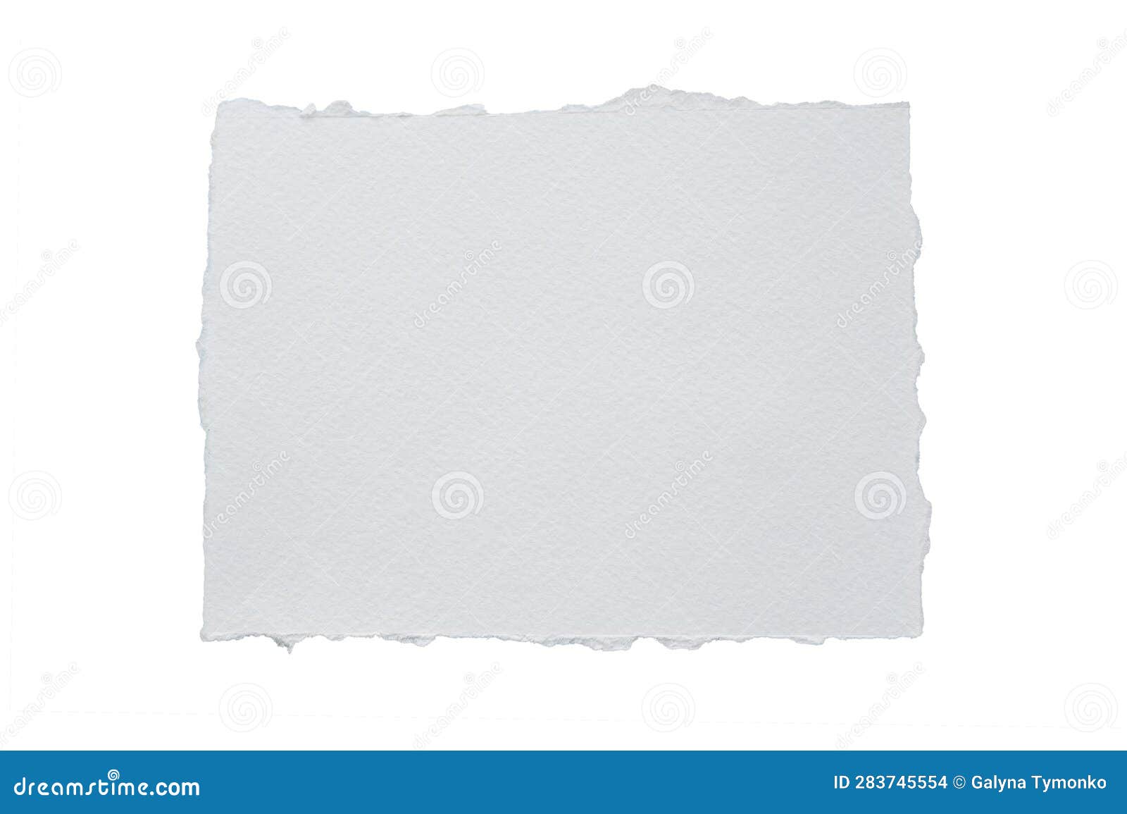 close up of a white ripped piece of paper with copyspace. torn paper  isolated transparent png 25921210 PNG