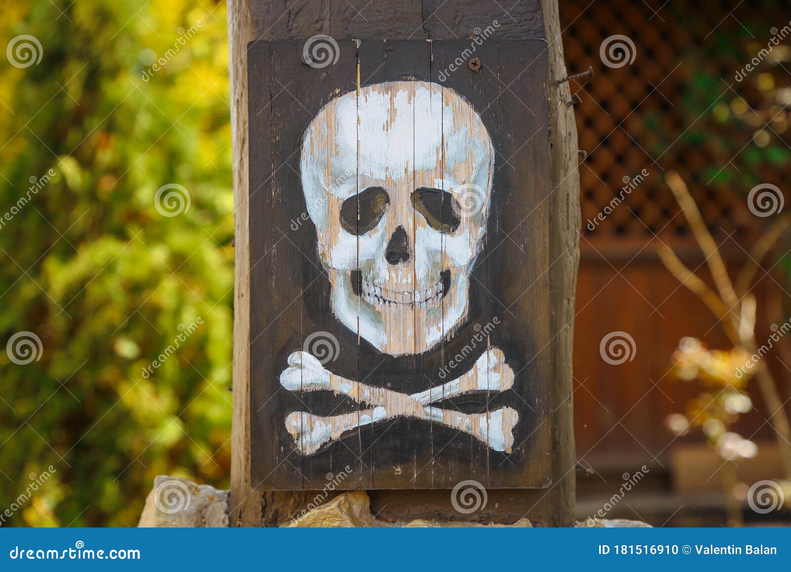 Close Up of White Skull and Bones Painted on Wood. Stock Photo Image