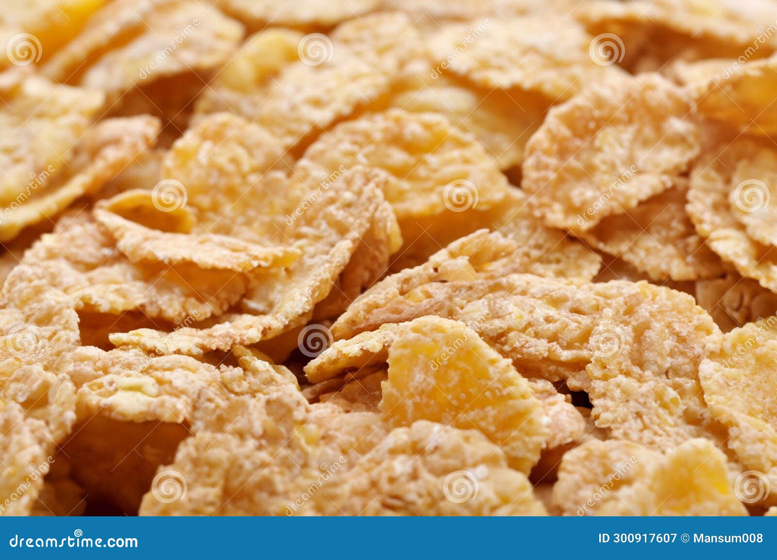 Whole Grain Cereal with Breakfast Stock Image Image of dairy, sweet