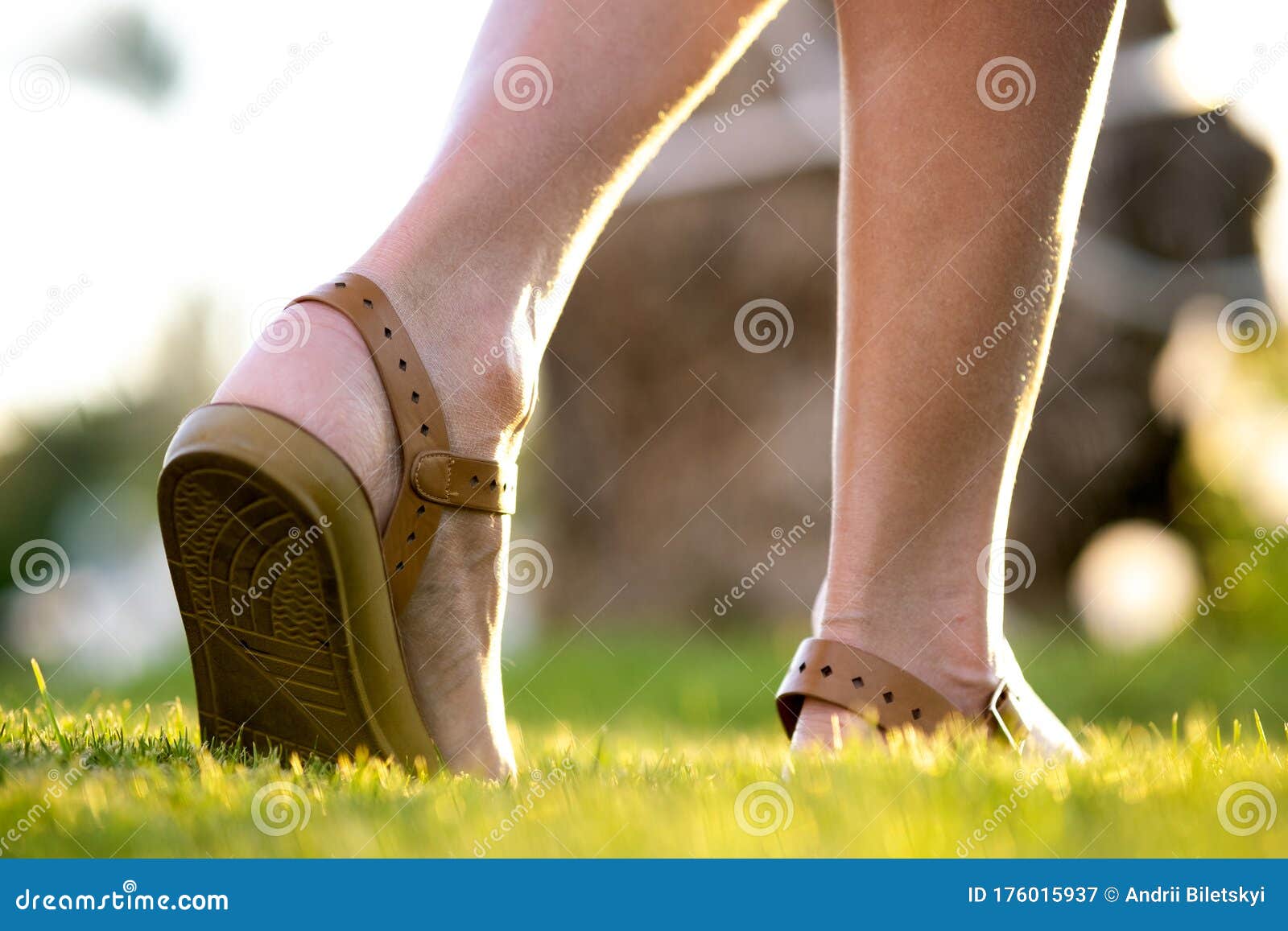 Close Up of Woman Feet in Summer Sandals Shoes Walking on Spring Lawn ...