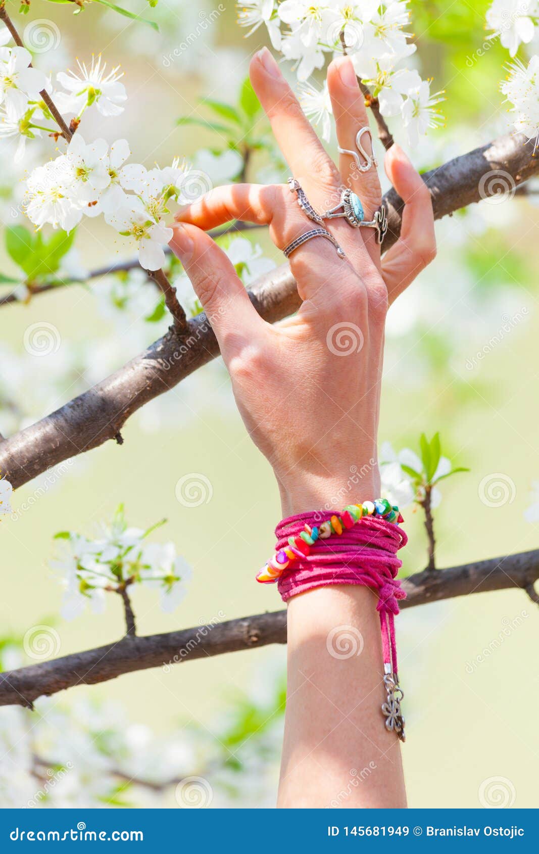 Woman Hand in Yoga Mudra Gesture in Front Cherry Blossom Outdoor ...