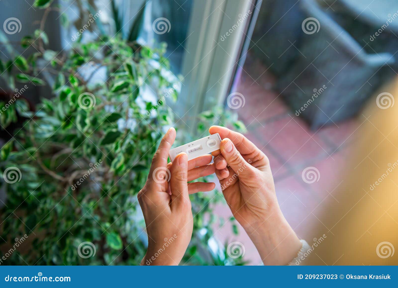 close up woman holding rapid covid -19 test with a positive result. self express coronavirus testing at home. covid-19