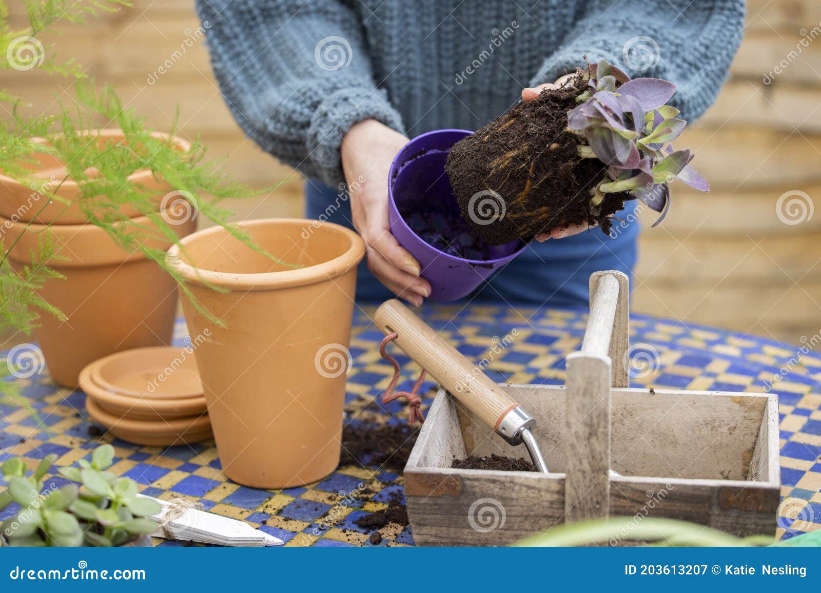 close up of woman re-potting houseplant into larger compost filled pot outdoors