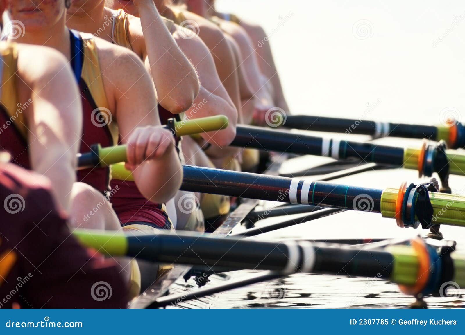 close up women's rowing team