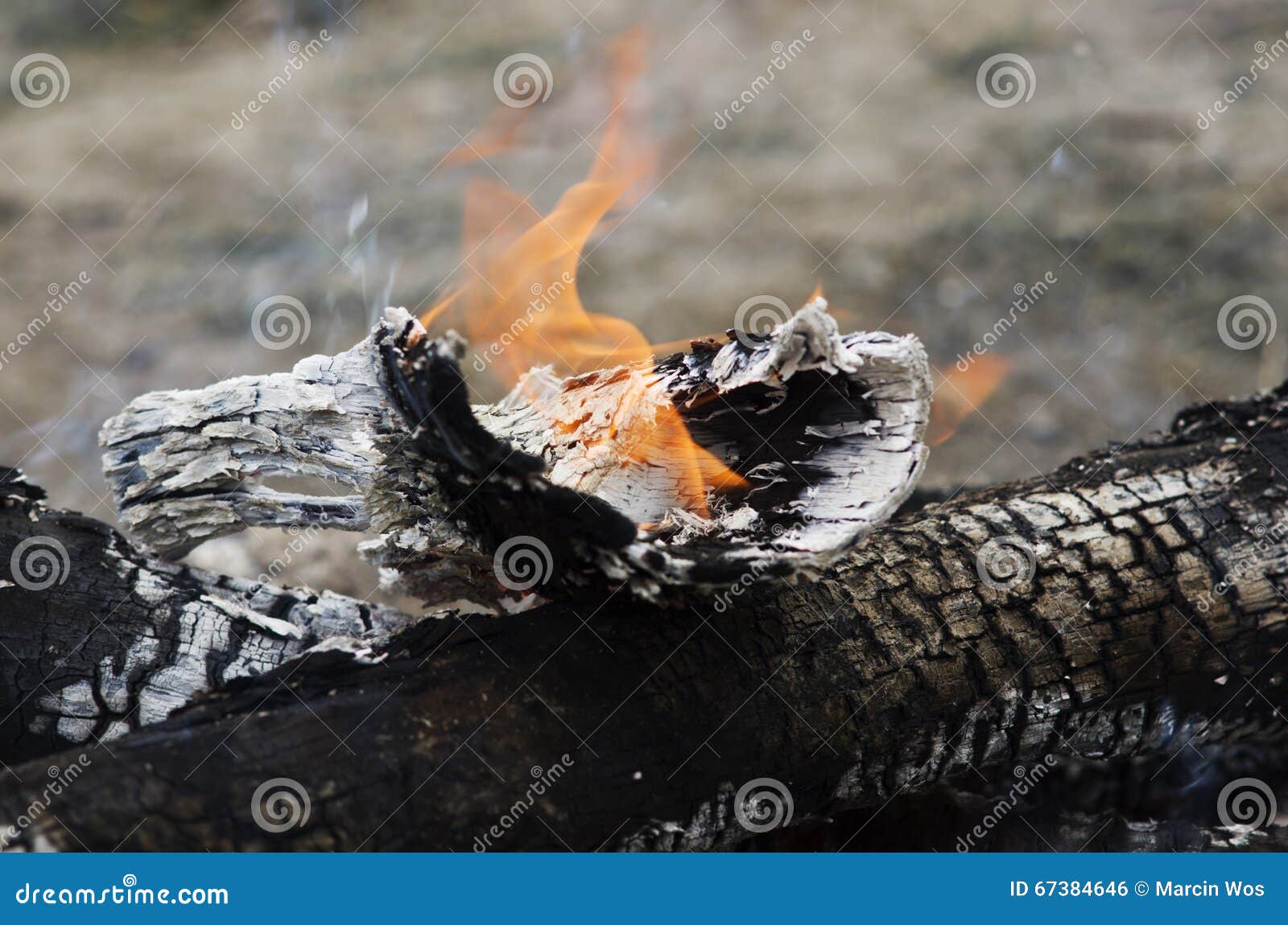 Close Up of the Wood Burns on Fire. Beautiful Fire with Flames Charred ...