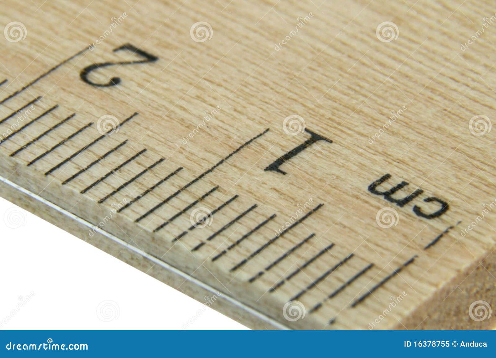 close up wood ruler