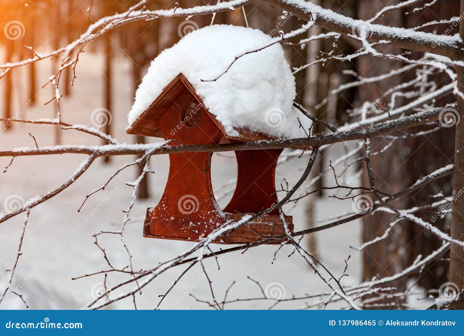 Download Close-up Of A Wooden Birdhouse Bird Feeder Covered With A ...