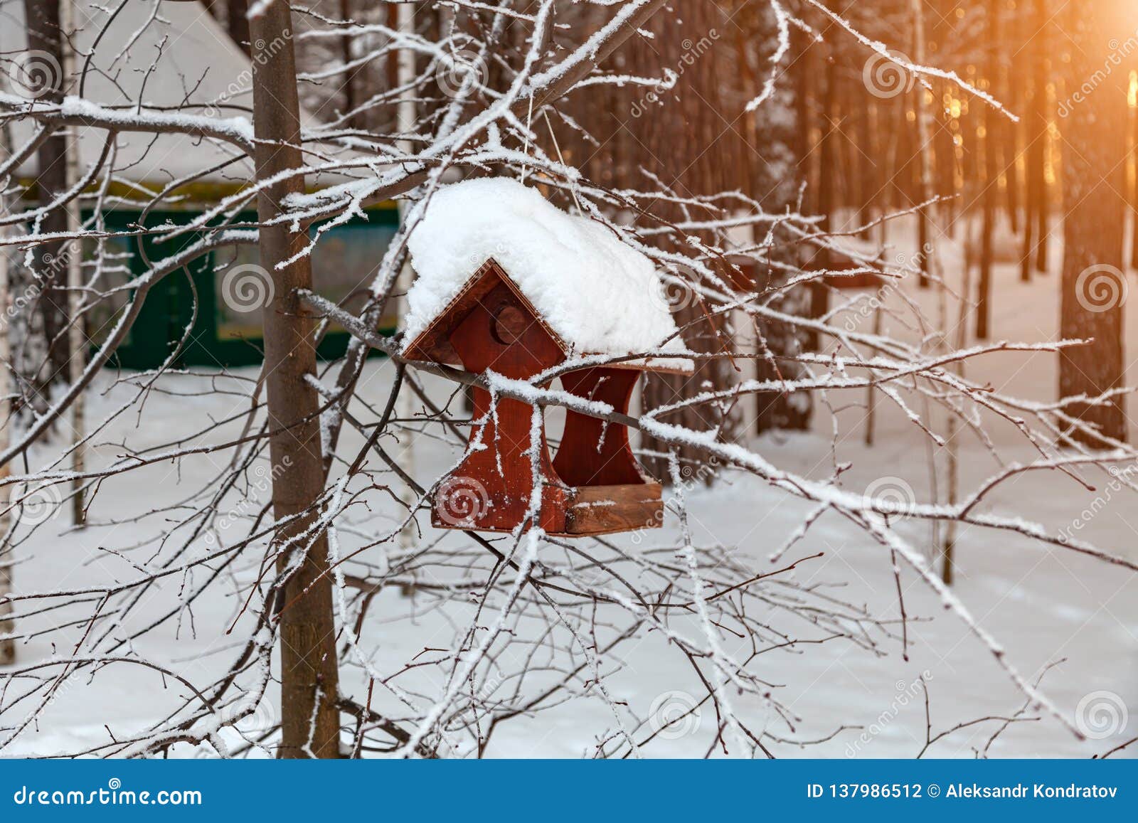 Download Close-up Of A Wooden Birdhouse Bird Feeder Covered With A ...
