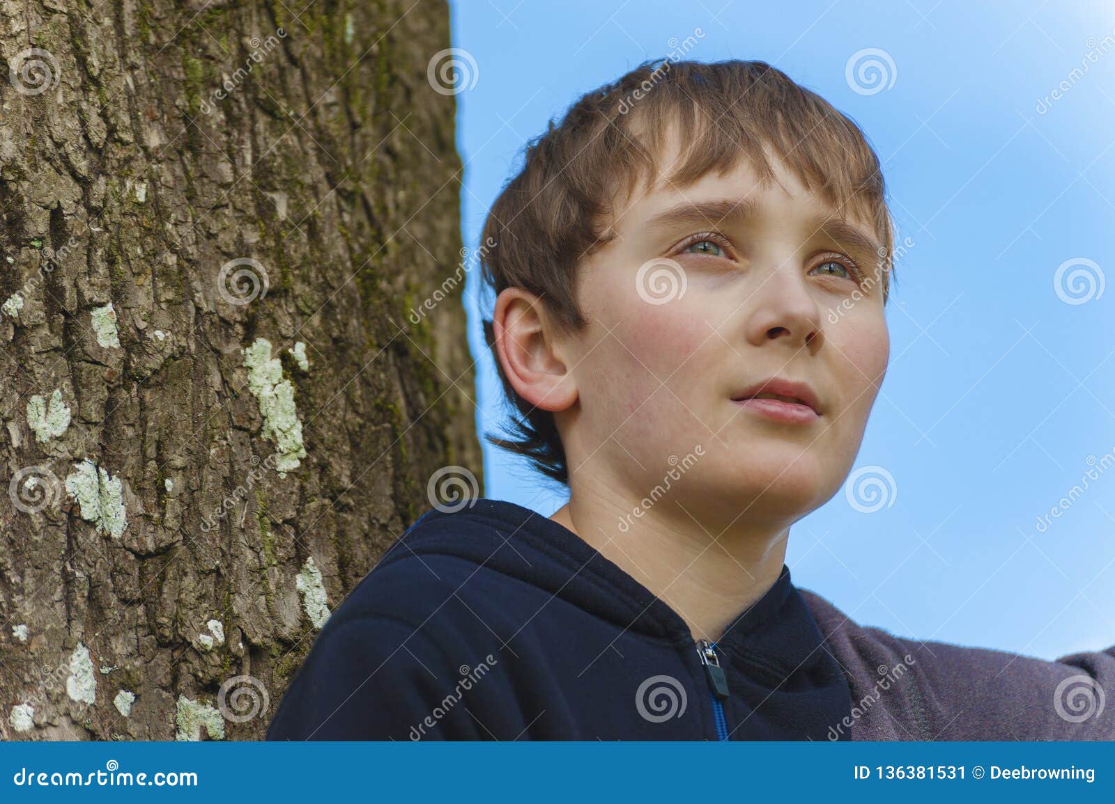 Close Up of a Young Boy in a Tree Stock Image - Image of sweatshirt ...