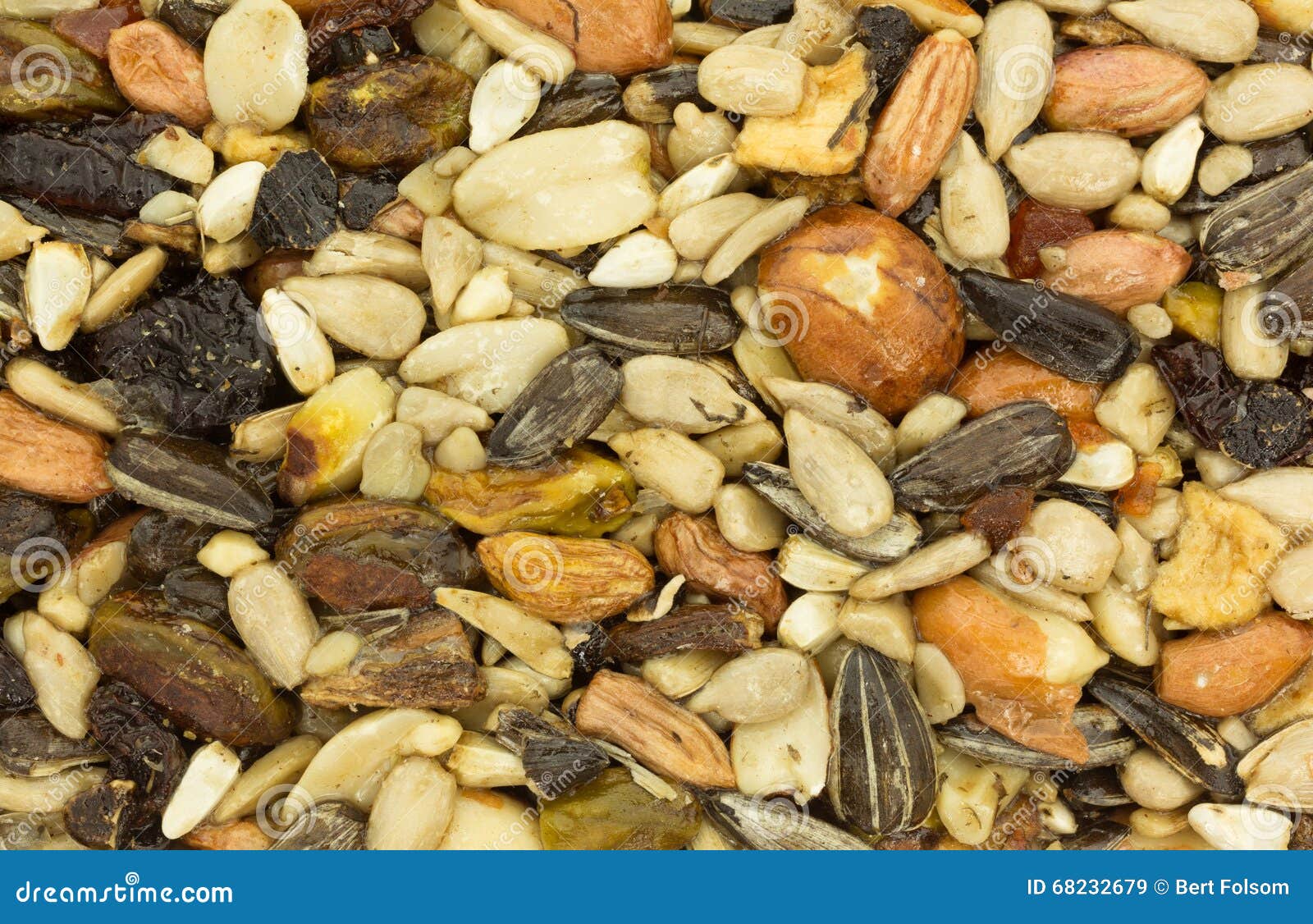 Close View of a Bird Food Block Stock Image Image of wildlife