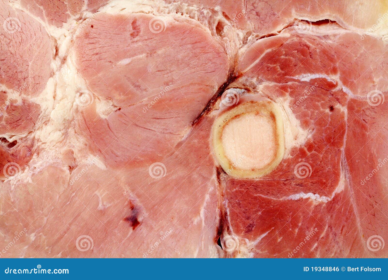 Close View of Ham with Bone Stock Photo Image of cured, slab 19348846