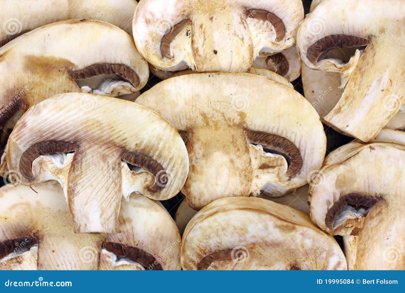 Close View Large Sliced Mushrooms Stock Photo Image of uncooked