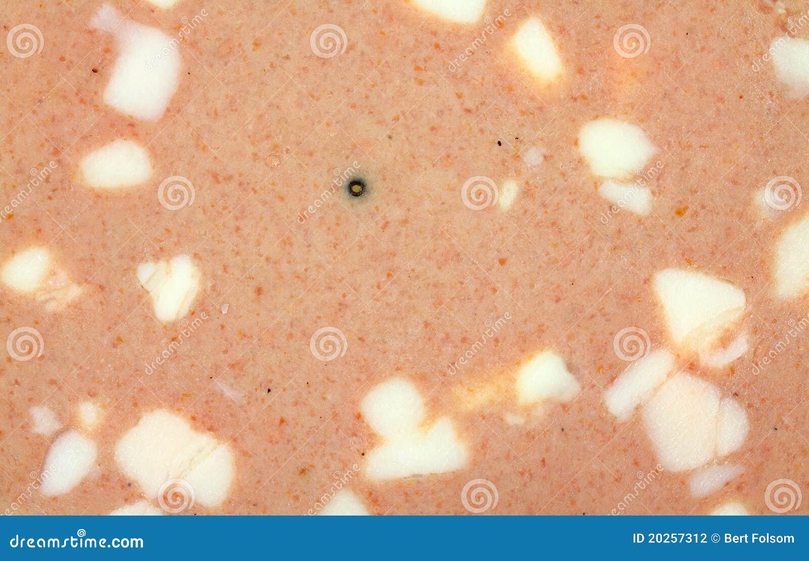 Close View Mortadella Luncheon Loaf Stock Photo Image of ground