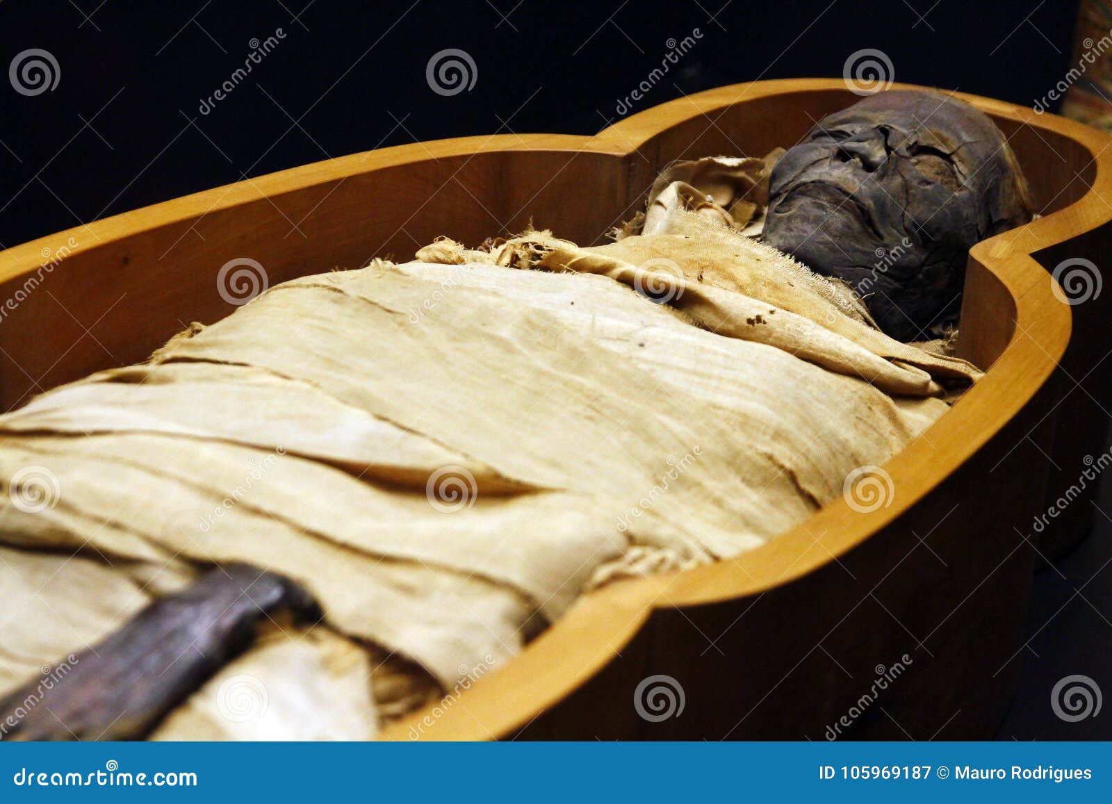 Open Casket of Egyptian Mummy Editorial Photography Image of casket