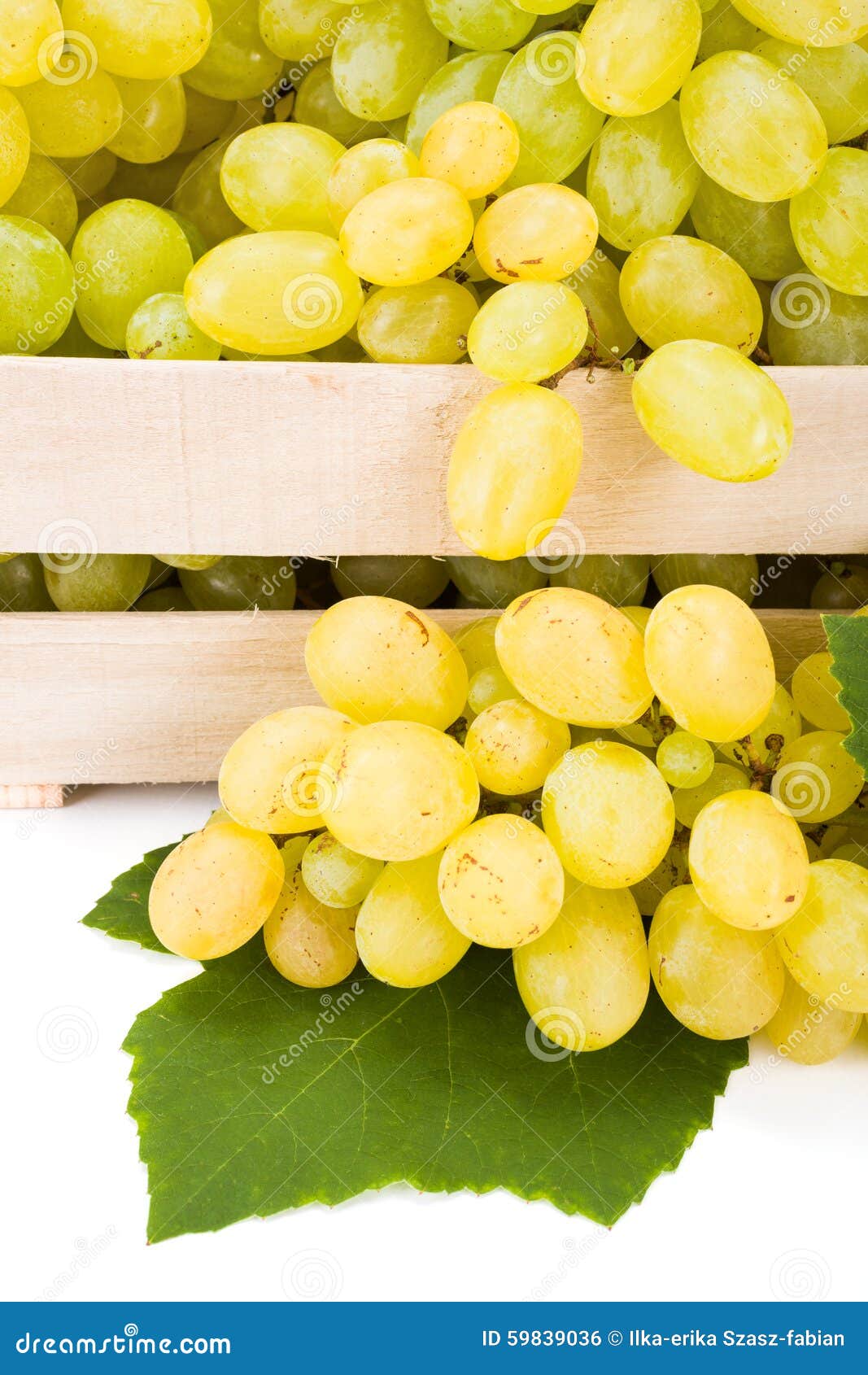 Close View of White Table Grape (Vitis) Clusters Stock Photo Image of