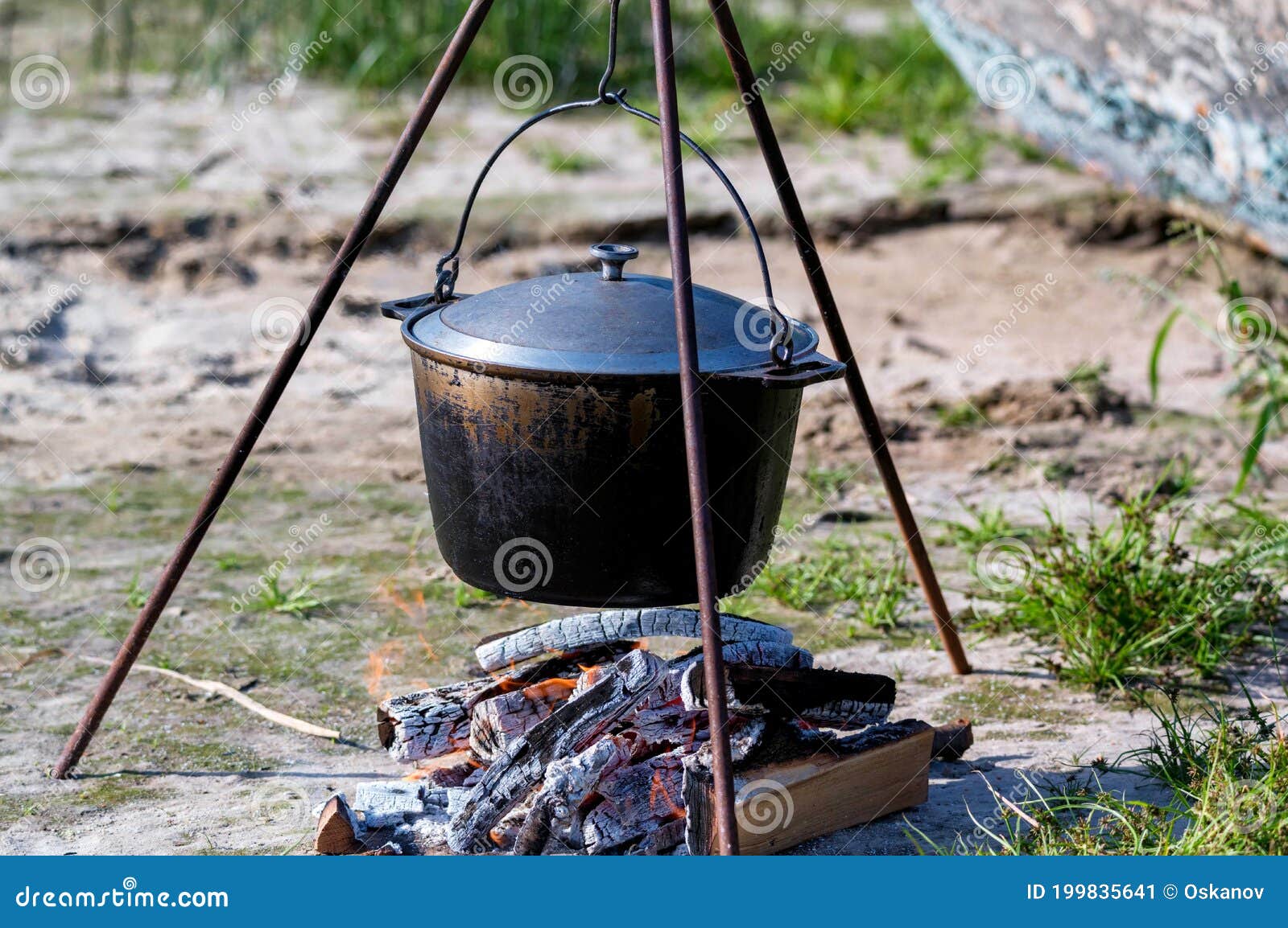 Closed Cast Iron Pot on the Fire Ready for Cooking Stock Image Image