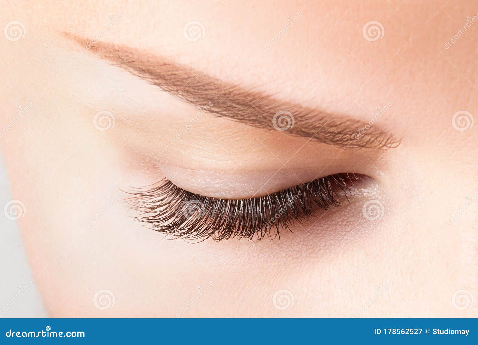 closed female eye with long eyelashes. classic 1d, 2d eyelash extensions and light brown eyebrow close up. eyelash extensions,