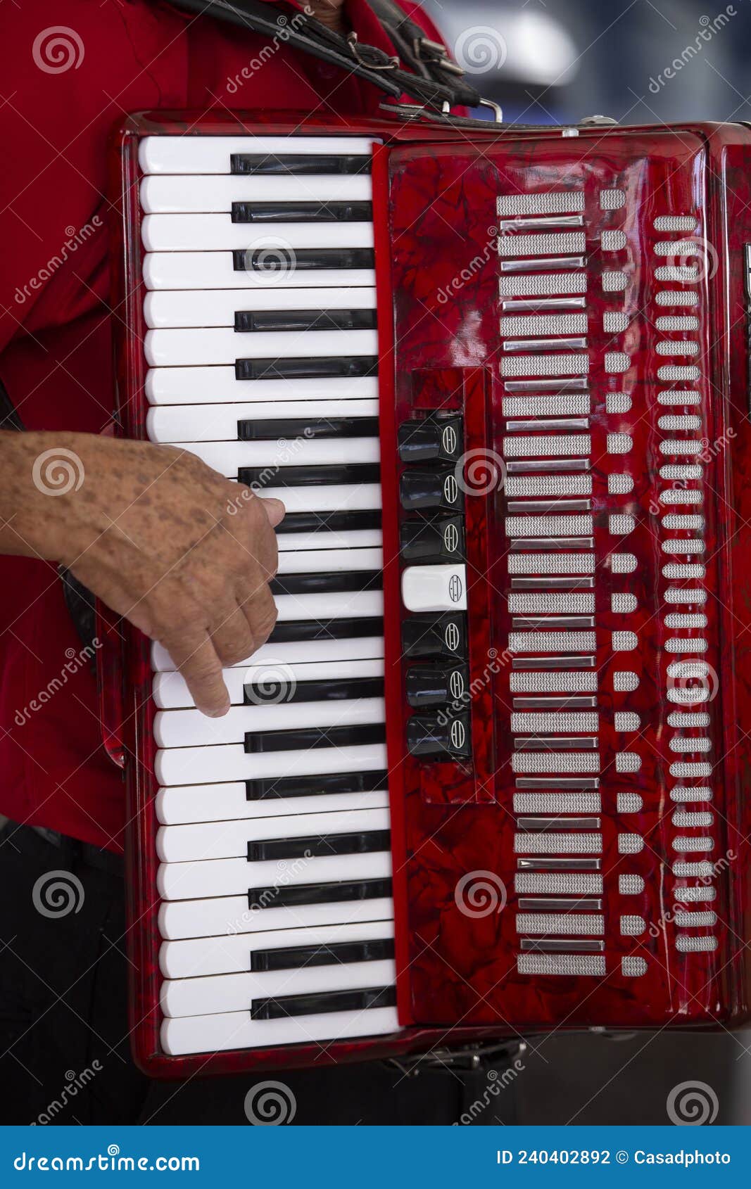closeup of accordionist and his instrument