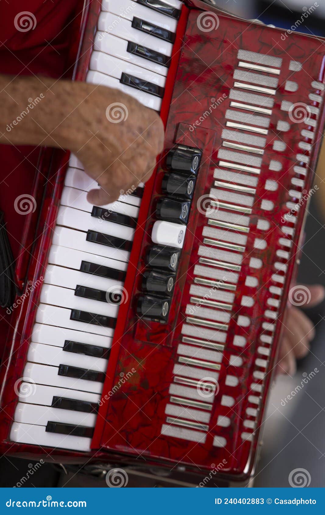 closeup of accordionist and his instrument