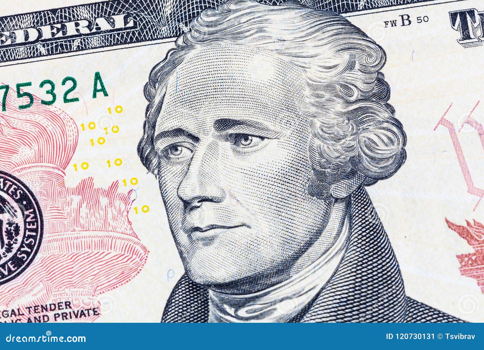 Alexander Hamilton Portrait on 10 US Dollar Bill Stock Image Image of