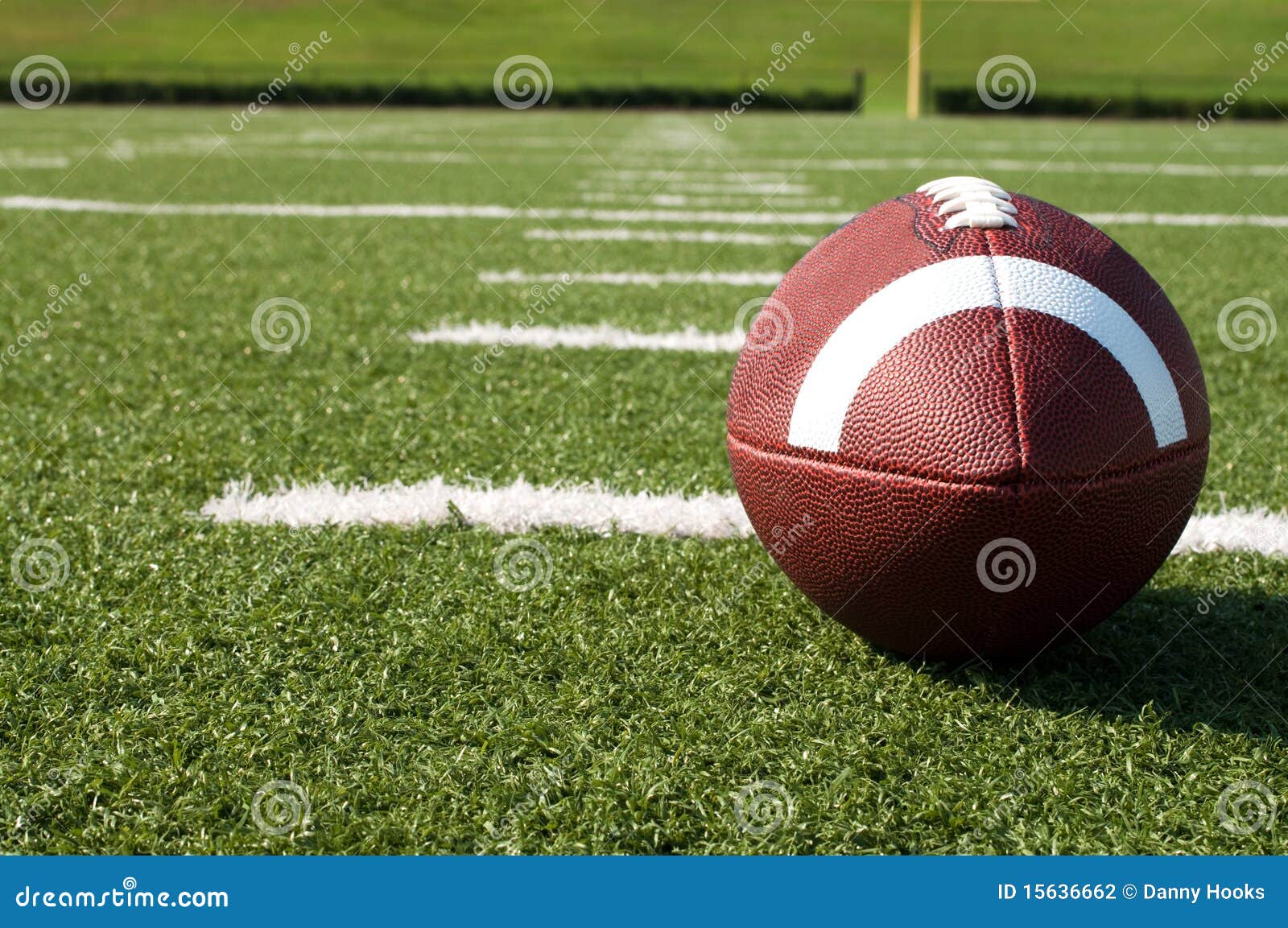 Closeup Of American Football On Field Stock Photo Image Of Game