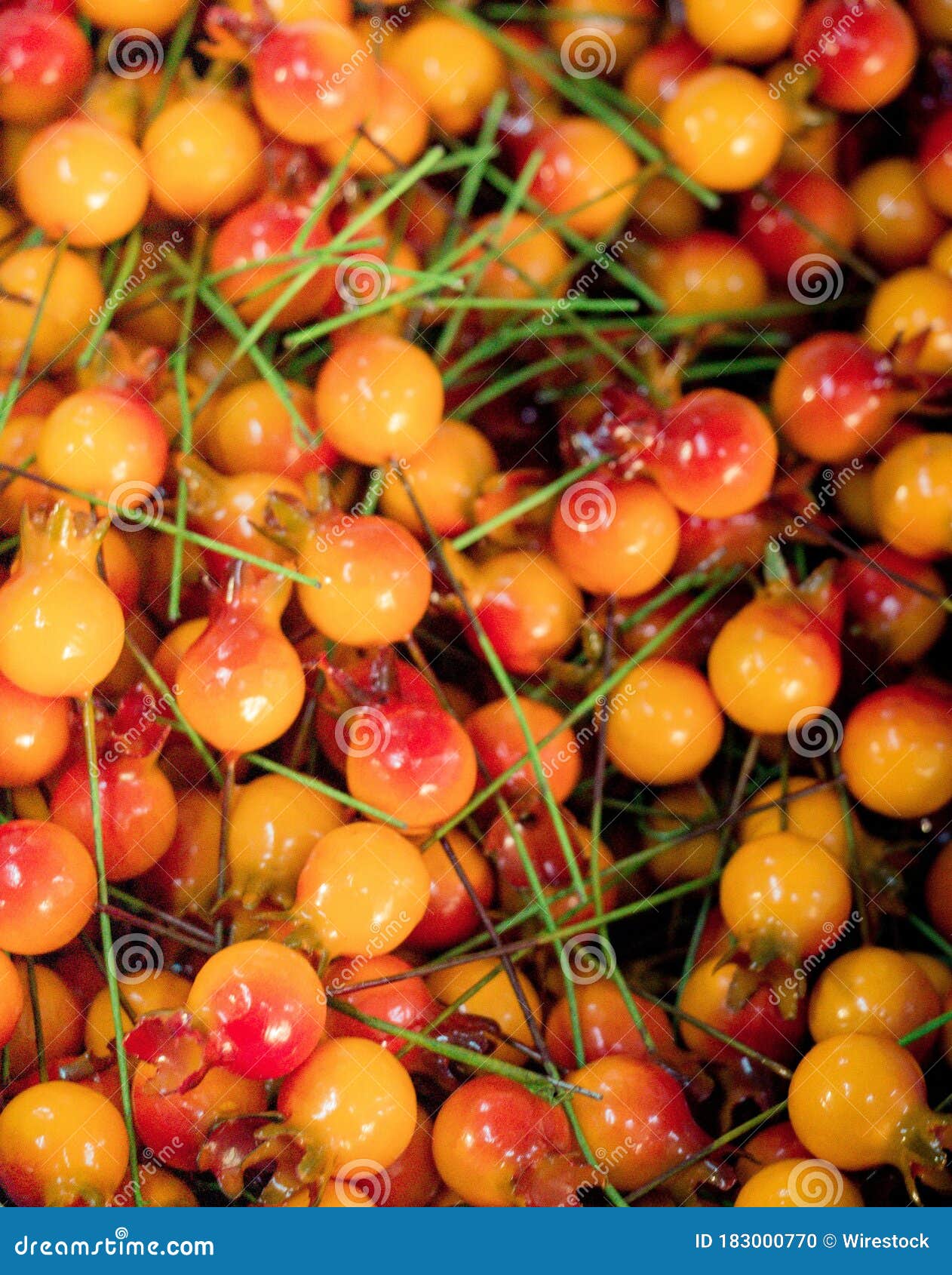 Closeup of Artificial Yellow Berries with Wire for Crafts Stock Photo