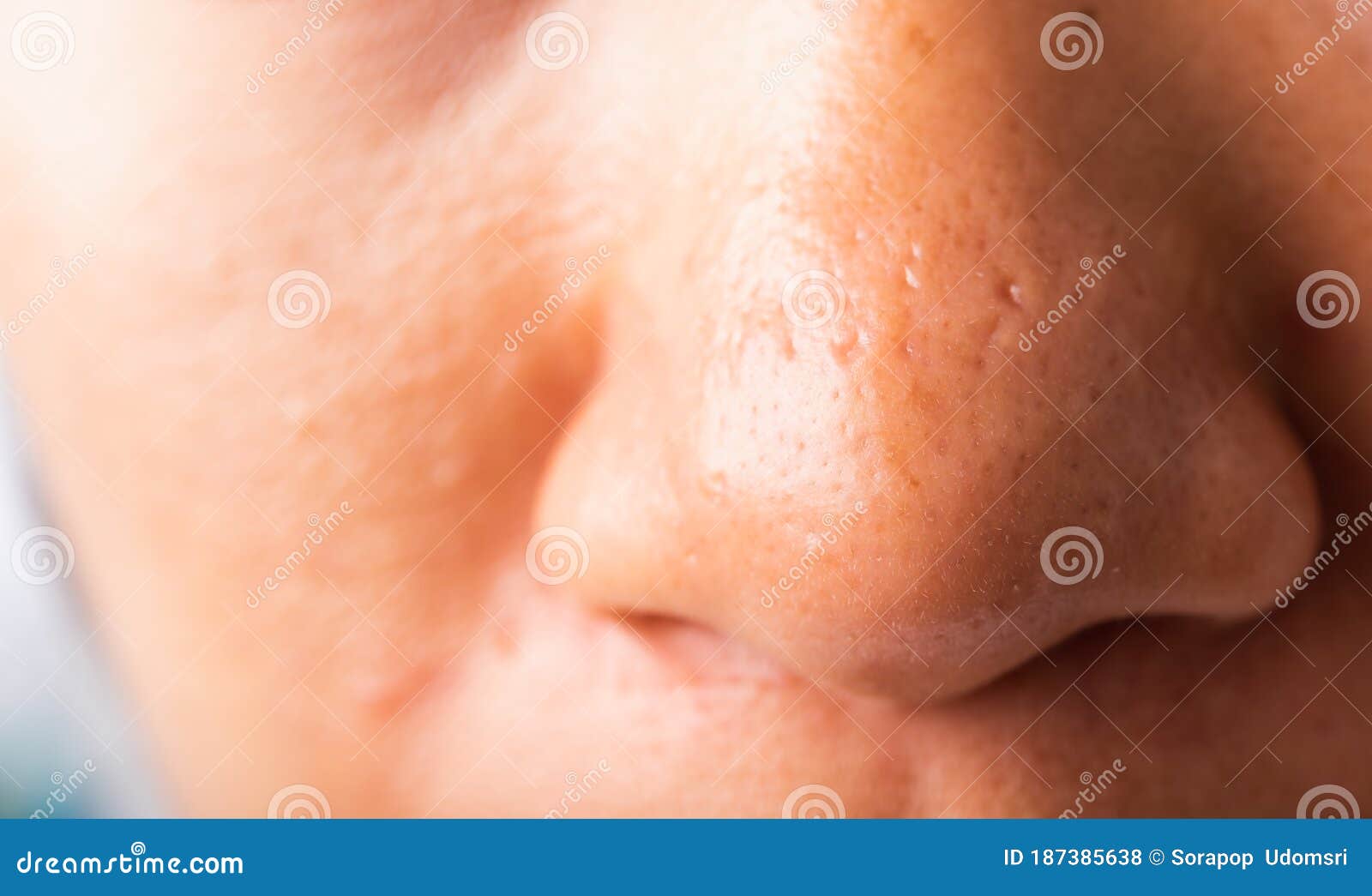 8 659 Pores Photos Free Royalty Free Stock Photos From Dreamstime