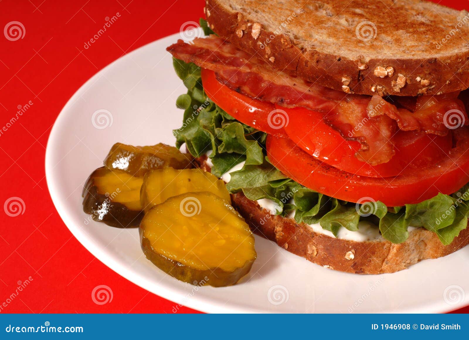 Closeup of a Bacon, Lettuce and Tomato Sandwich with Pickles, Re Stock Photo Image of cuisine