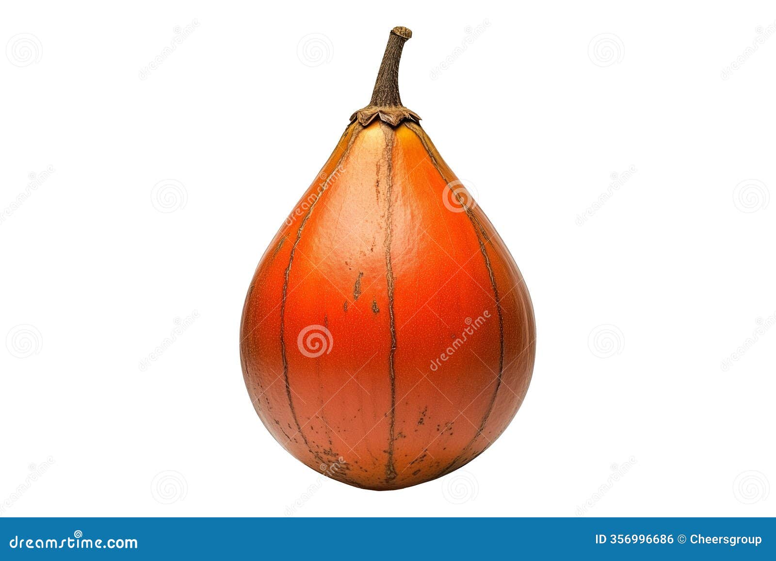 closeup of baobab fruit with intricate patterns  on white transparent background