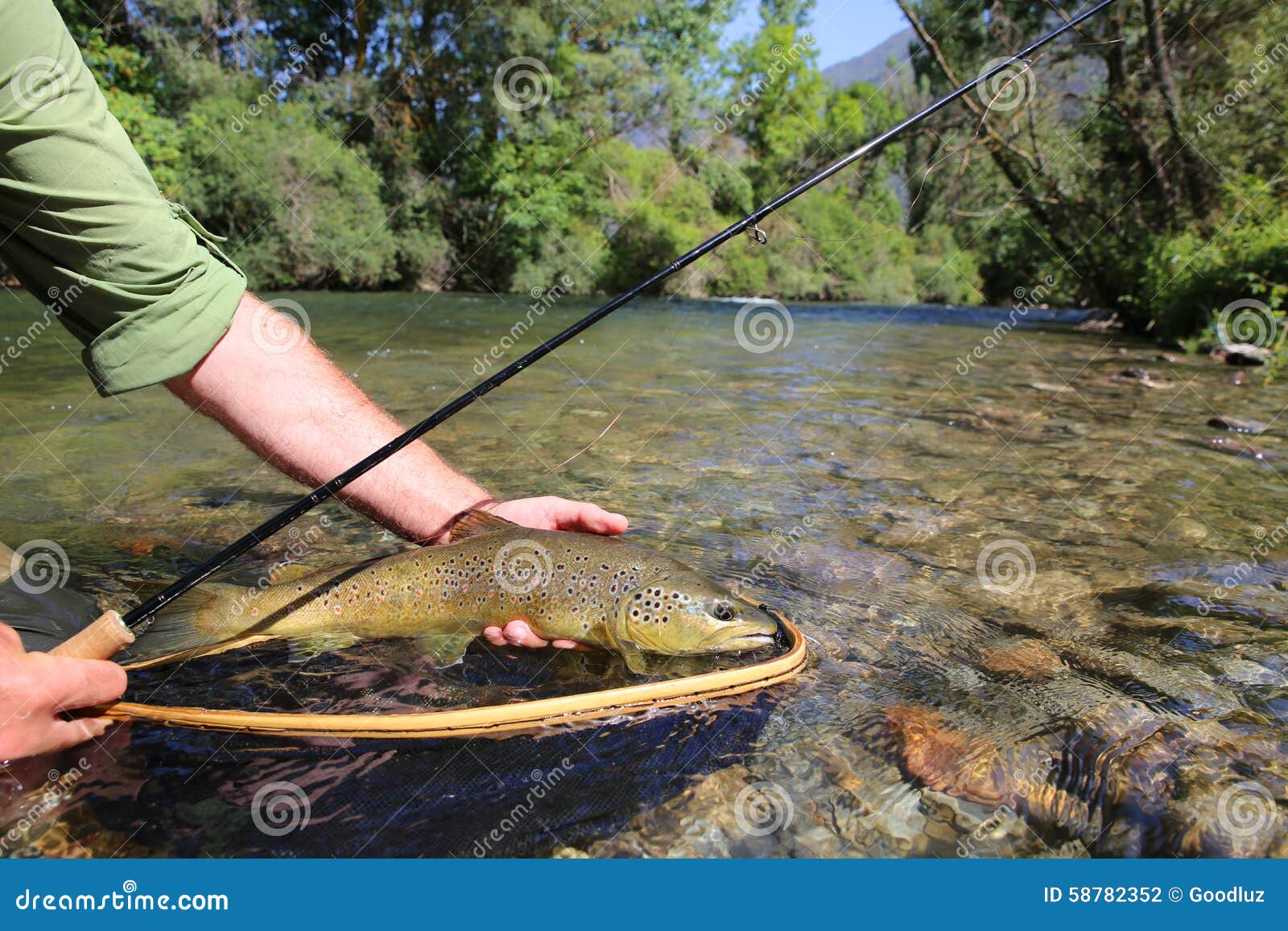 887 Big Fish Landing Stock Photos - Free & Royalty-Free Stock