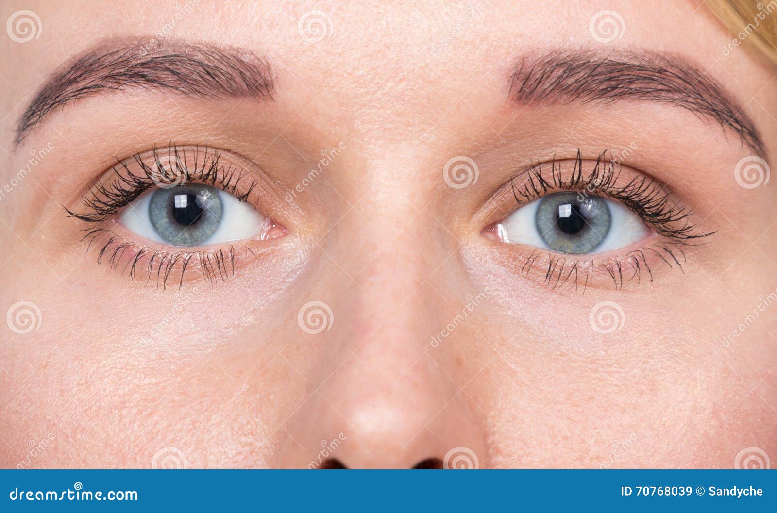 Closeup of Blue Eyes Woman without Makeup Stock Image Image of close
