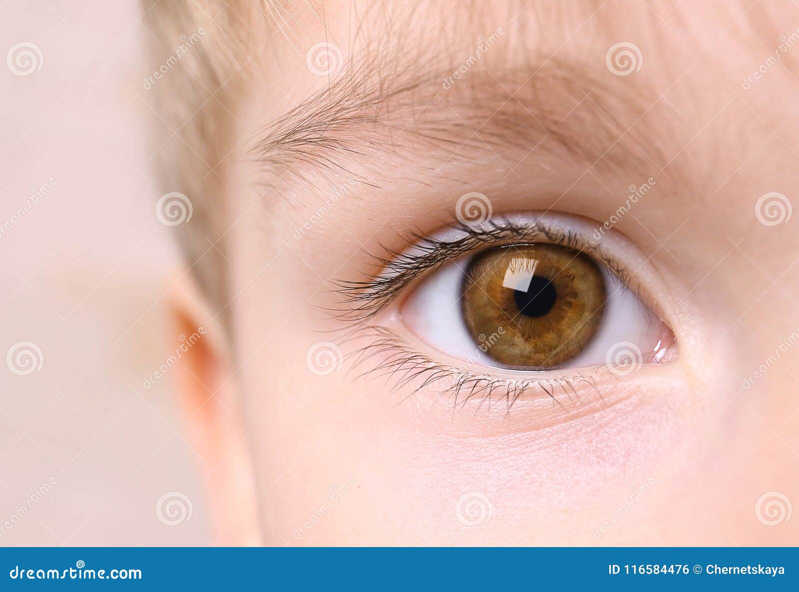 Closeup of boy eye stock photo. Image of calm, beautiful - 116584476