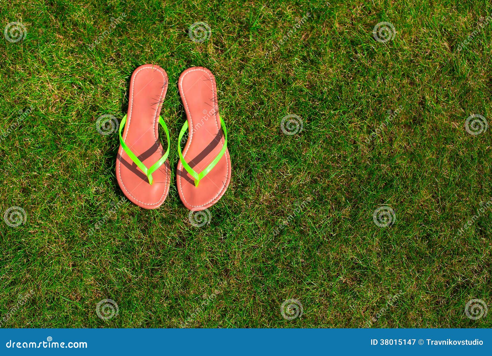 Closeup of Bright Flip Flops on Green Grass Stock Image - Image of airy ...